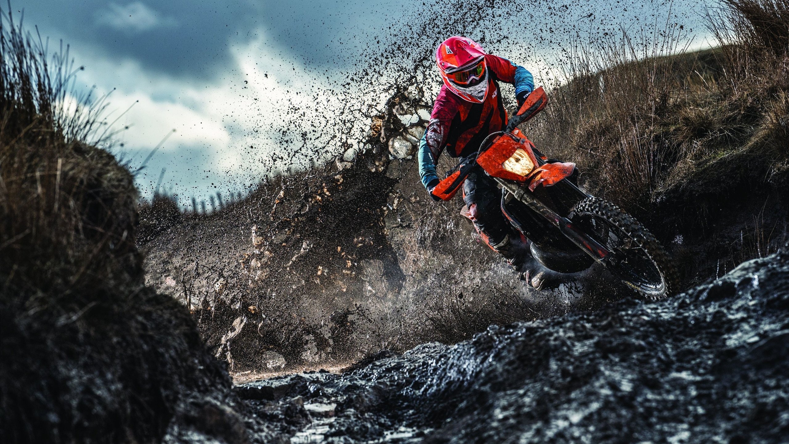 奥运周期关键战焦点战，国王力克雄鹿的战术启示