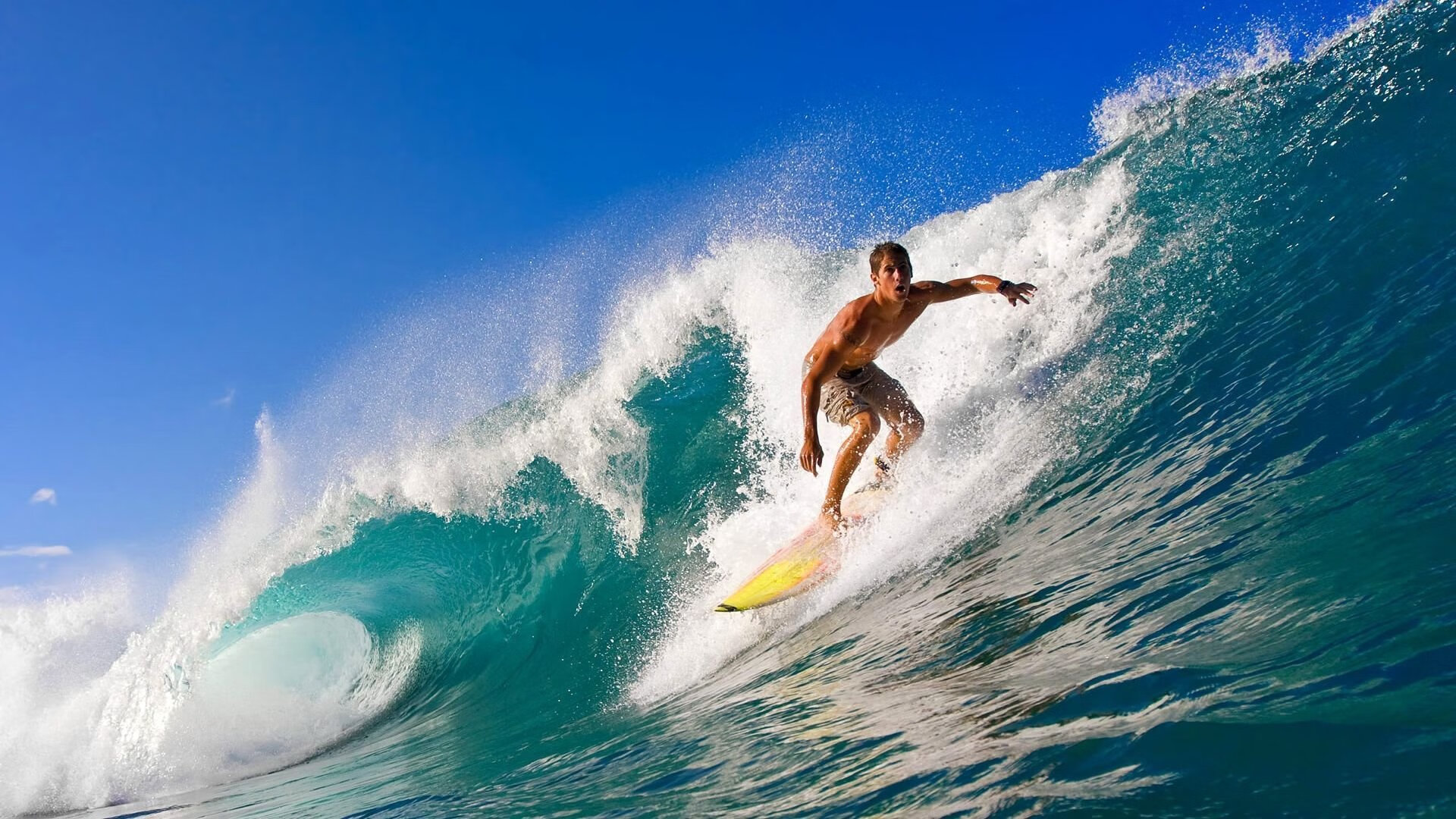 跨界统治力，从CBA到意甲，防守与进攻的艺术